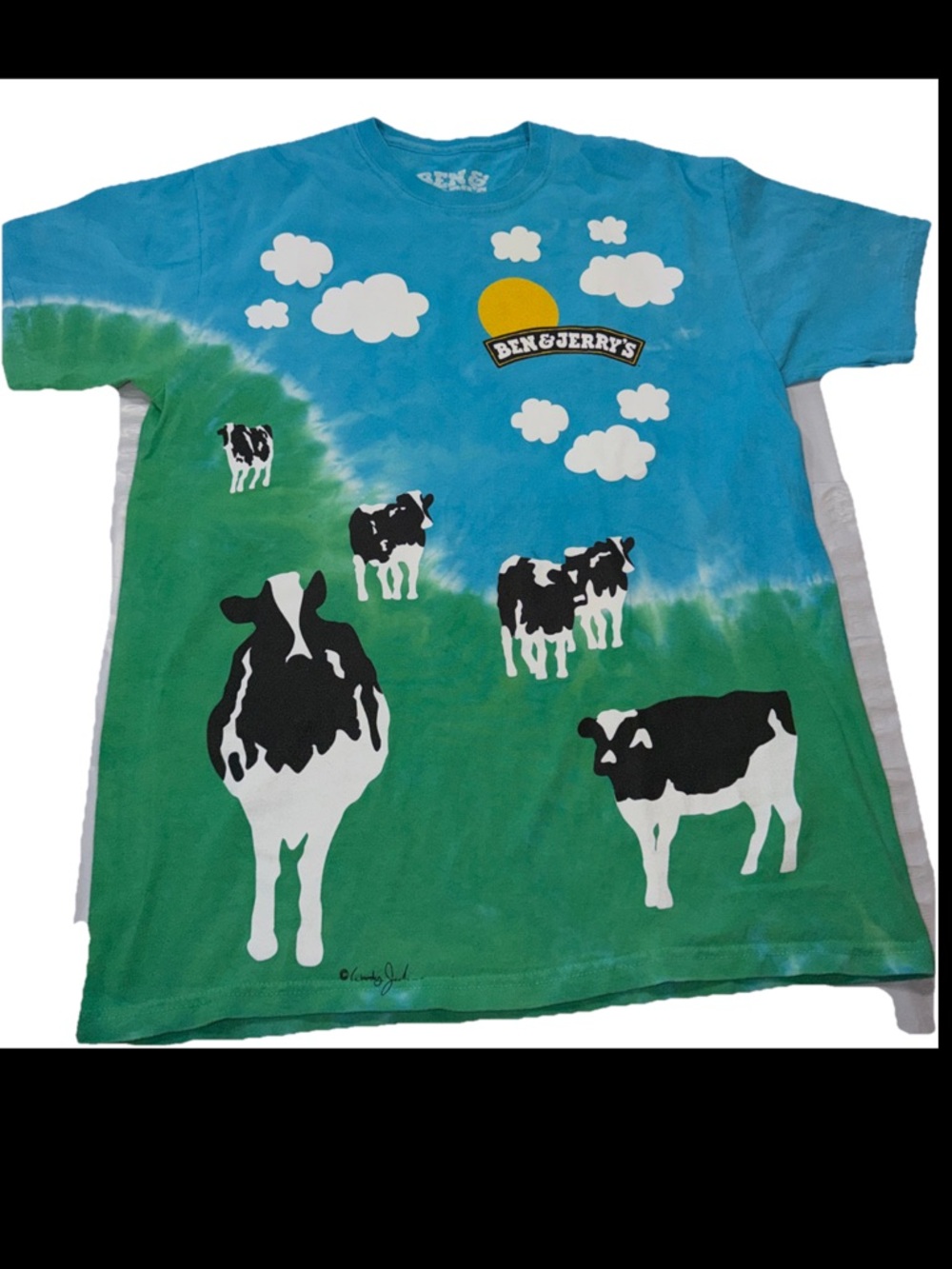 Vintage Ben & Jerry's Euphoria Black White Cow Blue Green Tie Dye T Shirt Mens M
